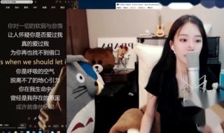 lettinggo什么意思
