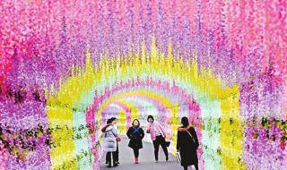 音乐百花谷