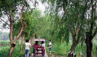 汉石桥湿地公园